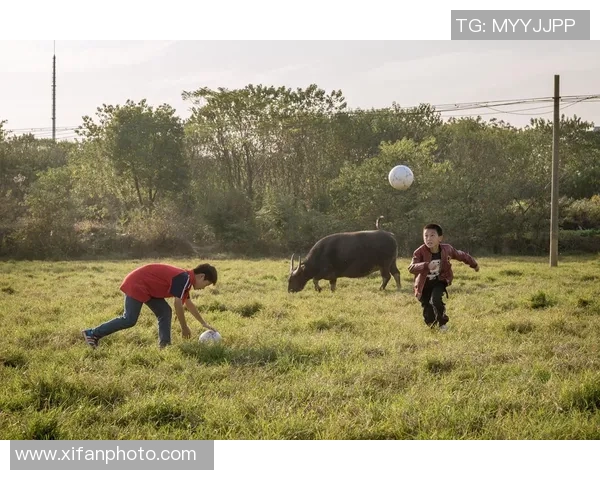 从草根到巨星小马的成长轨迹与足球梦想全解析