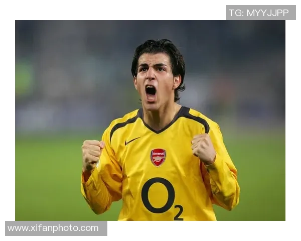 十二年绿茵巨星回顾全面解读足坛传奇人物成长与辉煌历程